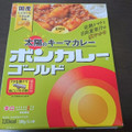 大塚食品 ボンカレーゴールド 太陽のキーマカレー 商品写真 1枚目