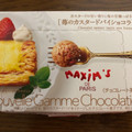 三菱食品 苺のカスタードパイショコラ 商品写真 2枚目