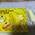 PABLO mini ICE BAR 商品写真 2枚目
