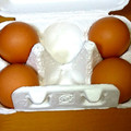 東養鶏場 えびの高原生まれの卵 商品写真 1枚目