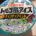 ファミリーマート トルコ風アイス チョコチップミント 商品写真 4枚目