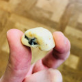 森永製菓 おいしくモグモグたべるチョコ レーズン 商品写真 5枚目