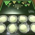 ルタオ ホワイトレアチョコレート ナイアガラ 商品写真 2枚目