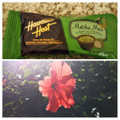 ハワイアンホースト マカデミアナッツチョコレート 抹茶マックスバー 商品写真 4枚目