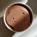 成城石井 チョコレートアイス 商品写真 5枚目
