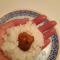 井村屋 おにぎりの具 カレー味 商品写真 4枚目