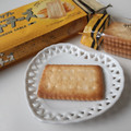 日清シスコ ココナッツサブレ ベイクドチーズ 濃厚仕立て 商品写真 3枚目