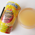 Dole Handy Charge Lemon Mix 商品写真 5枚目