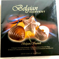 Belgian HARVEST チョコレートシーシェル 商品写真 3枚目