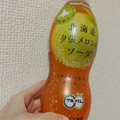 ポッカサッポロ 北海道夕張メロンのソーダ 商品写真 4枚目