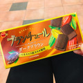 ブルボン ブランチュール ミニチョコレート ダークブラウン 商品写真 3枚目