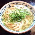 丸亀製麺 かけうどん 商品写真 2枚目