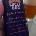 黄桜 LUCKY DOG 商品写真 4枚目