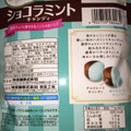 UHA味覚糖 ジェラテリア ショコラミントキャンディ 商品写真 3枚目