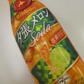 ポッカサッポロ 北海道夕張メロンのソーダ 商品写真 2枚目