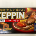 江崎グリコ カレーZEPPIN 中辛 商品写真 4枚目