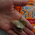 長谷食品 北海道産 パリパリ鮭皮あぶり焼き 商品写真 3枚目