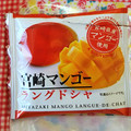 宮崎マンゴーラングドシャ 商品写真 5枚目