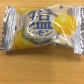 アサヒ 塩レモンキャンディ 商品写真 2枚目