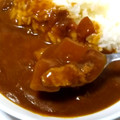 ハウス カリー屋 ポークカレー 中辛 商品写真 5枚目