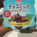 森永 チョコミント とろりプリン 商品写真 4枚目