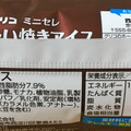 江崎グリコ たい焼きアイス チョコ 商品写真 3枚目