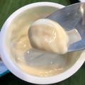 ポッカサッポロ ソイビオ 豆乳ヨーグルト プレーン加糖 商品写真 2枚目