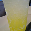 マクドナルド マックフィズ レモンジンジャー 果汁1％ 商品写真 2枚目