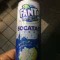 コカ・コーラ ファンタ 世界のおいしいフレーバー ソカタ 商品写真 3枚目