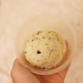 トミヒサアイス チョコミントアイス 商品写真 2枚目