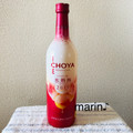 チョーヤ CHOYA ICE NOUVEAU 氷熟梅ワイン2019 商品写真 1枚目