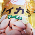 大塚製薬 ソイカラチーズ味 商品写真 3枚目