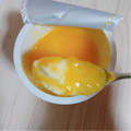 明治 THE GREEK YOGURT オレンジ 商品写真 2枚目