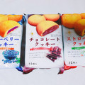 フライアット チョコレートクッキー 商品写真 4枚目