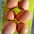 全国地養卵協会 滋養卵 大卵 商品写真 4枚目