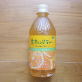 伊藤園 TEAs’ TEA NEW AUTHENTIC 生オレンジティー 商品写真 3枚目