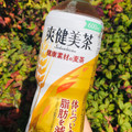 コカ・コーラ 爽健美茶 健康素材の麦茶 商品写真 3枚目