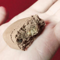 ナリスアップ ぐーぴたっ 糖類85％オフ しっとりクッキー ショコラバナーヌ 商品写真 3枚目