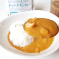 みなさまのお墨付き クリーミーなひよこ豆のチャナチキンカレー 商品写真 2枚目