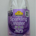 トップバリュ ベストプライス Sparkling Water 炭酸水 ぶどう 商品写真 1枚目