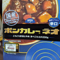 大塚食品 ボンカレー ネオ 濃厚スパイシーオリジナル 辛口 商品写真 2枚目
