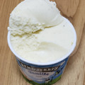 BEN＆JERRY’S ミニカップアイスクリーム バニラ 商品写真 2枚目