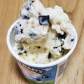 BEN＆JERRY’S ミニカップ アイスクリーム チャンキーモンキー 商品写真 3枚目