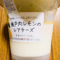 アンデイコ 瀬戸内レモンのレアチーズ 商品写真 5枚目