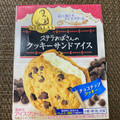 森永製菓 ステラおばさんのクッキーサンドアイス チョコチップクッキー 商品写真 5枚目