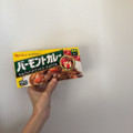 ハウス バーモントカレー 中辛 商品写真 3枚目