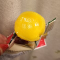 江崎グリコ アイスの実 濃いみかん 商品写真 2枚目