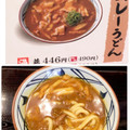 丸亀製麺 カレーうどん 商品写真 4枚目