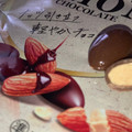 ロッテ うす巻きチョコのアーモンドチョコレート 商品写真 5枚目