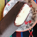 メイトー チョコレートアイスクリームバー 商品写真 1枚目